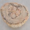 Beistelltisch versteinertes Holz 48011