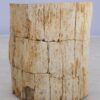 Beistelltisch versteinertes Holz 48011