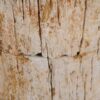 Beistelltisch versteinertes Holz 48011