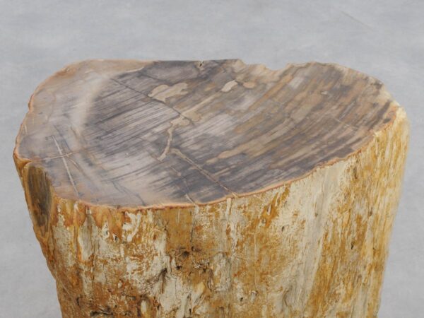 Beistelltisch versteinertes Holz 48013