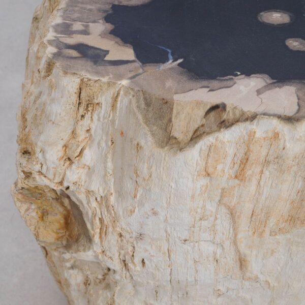 Beistelltisch versteinertes Holz 48014