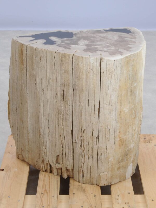 Beistelltisch versteinertes Holz 48017