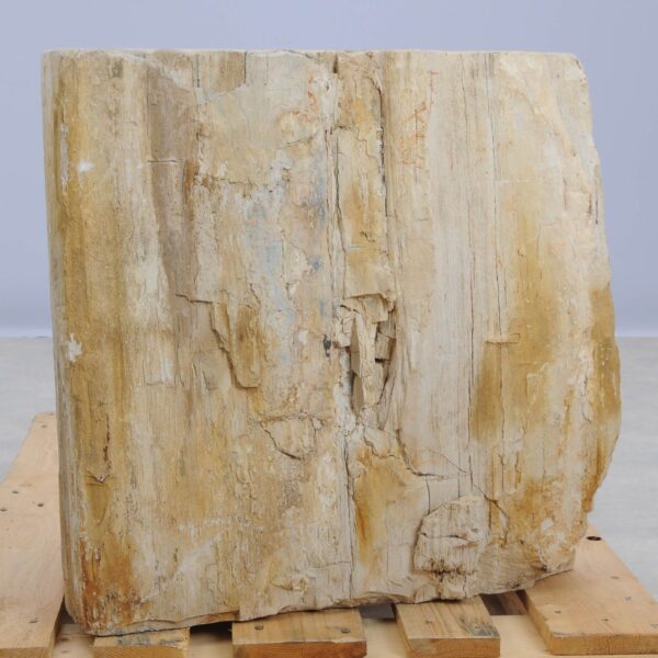 Beistelltisch versteinertes Holz 48017