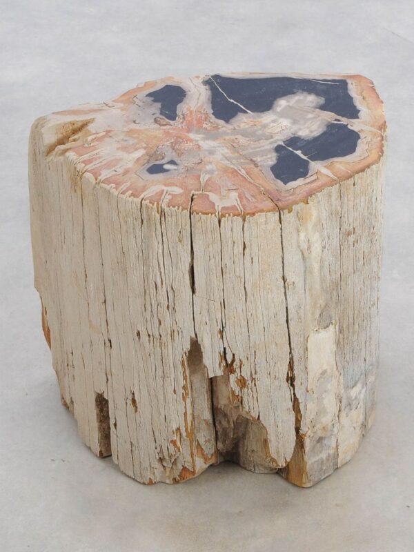 Beistelltisch versteinertes Holz 48018