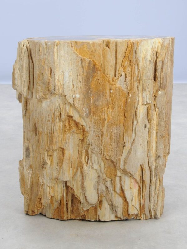 Beistelltisch versteinertes Holz 48019