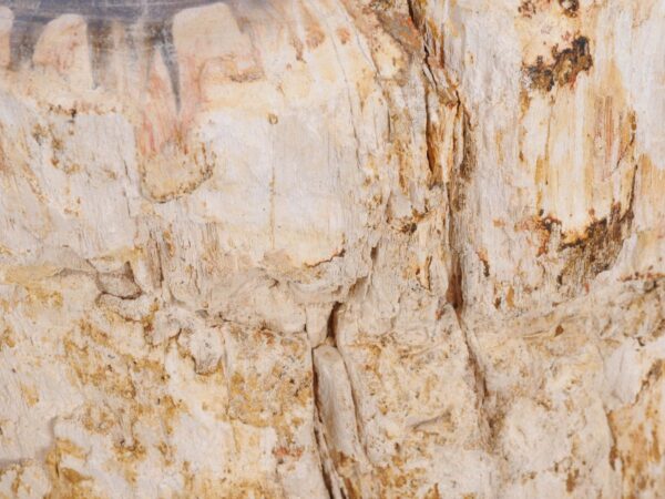 Beistelltisch versteinertes Holz 48020