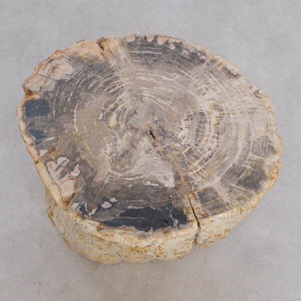 Beistelltisch versteinertes Holz 48020