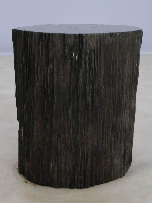 Beistelltisch versteinertes Holz 48023