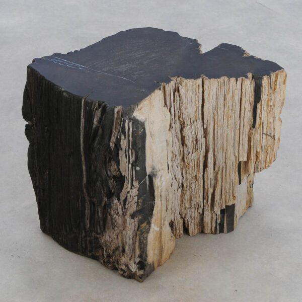 Beistelltisch versteinertes Holz 48025