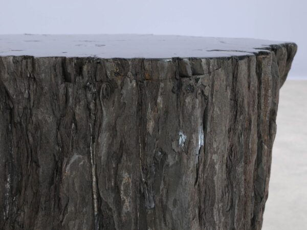 Beistelltisch versteinertes Holz 48028