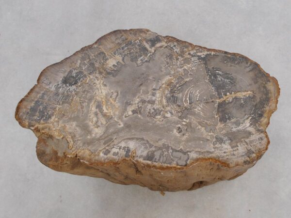Beistelltisch versteinertes Holz 48029