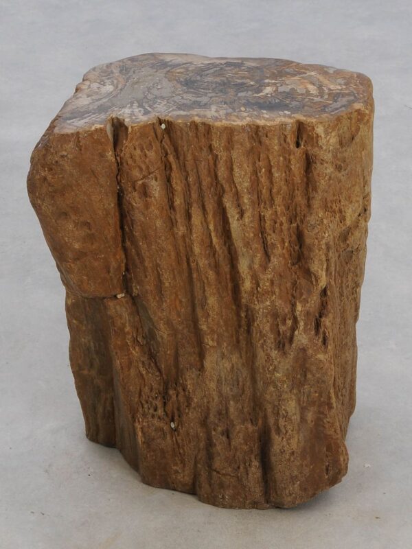 Beistelltisch versteinertes Holz 48030