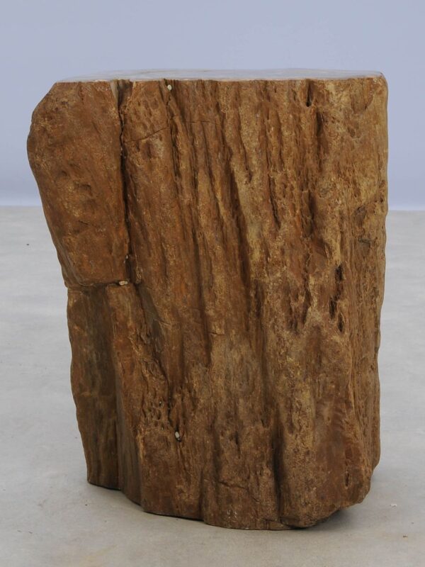 Beistelltisch versteinertes Holz 48030