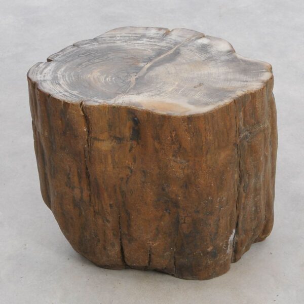 Beistelltisch versteinertes Holz 48031