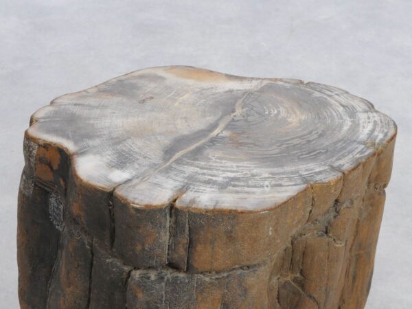 Beistelltisch versteinertes Holz 48031