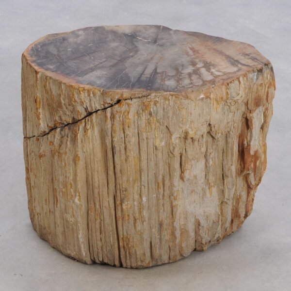 Beistelltisch versteinertes Holz 48033