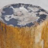 Beistelltisch versteinertes Holz 48039