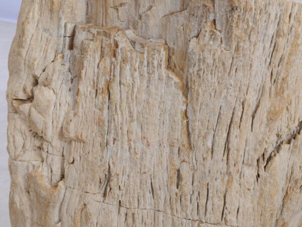 Beistelltisch versteinertes Holz 48043