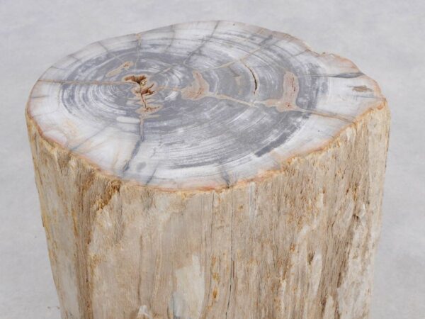 Beistelltisch versteinertes Holz 48045