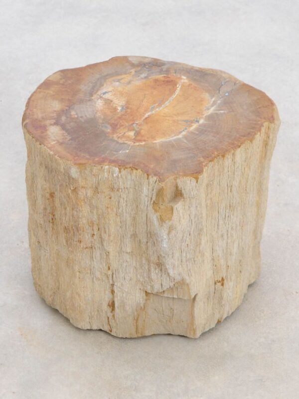Beistelltisch versteinertes Holz 48046