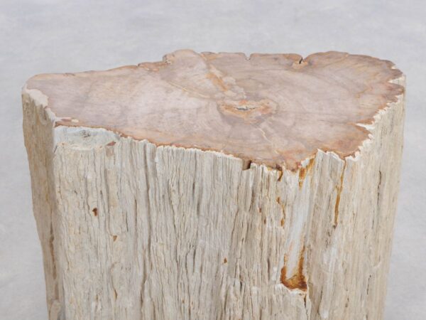 Beistelltisch versteinertes Holz 48048