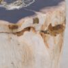 Beistelltisch versteinertes Holz 48049