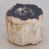 Beistelltisch versteinertes Holz 48049