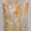 Beistelltisch versteinertes Holz 48053