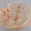 Beistelltisch versteinertes Holz 48053