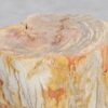 Beistelltisch versteinertes Holz 48053