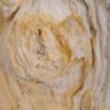 Beistelltisch versteinertes Holz 48053