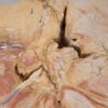 Beistelltisch versteinertes Holz 48053