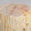 Beistelltisch versteinertes Holz 48053