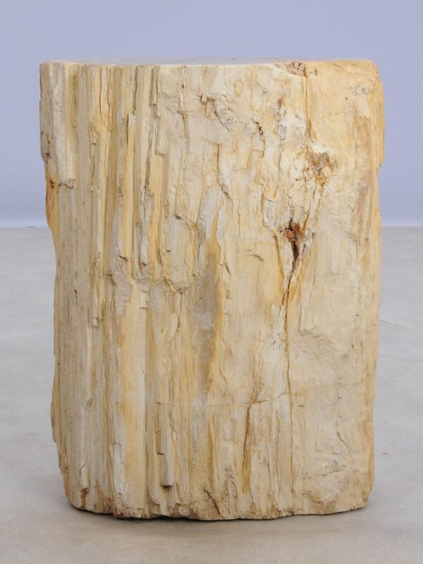 Beistelltisch versteinertes Holz 48053
