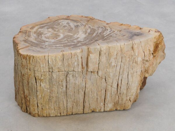 Beistelltisch versteinertes Holz 48054