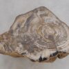 Beistelltisch versteinertes Holz 48055