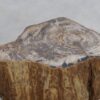 Beistelltisch versteinertes Holz 48055