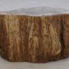 Beistelltisch versteinertes Holz 48055