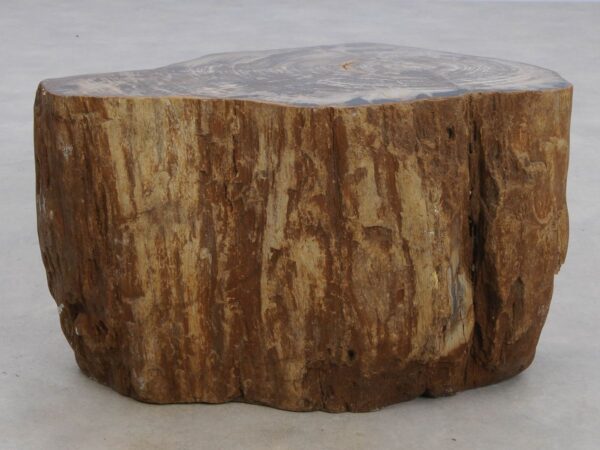 Beistelltisch versteinertes Holz 48055