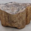 Beistelltisch versteinertes Holz 48055