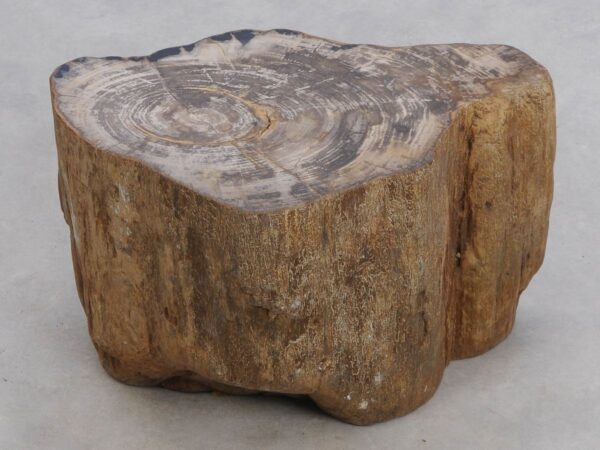 Beistelltisch versteinertes Holz 48055