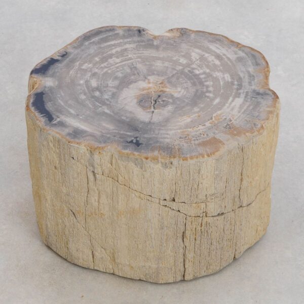 Beistelltisch versteinertes Holz 48114