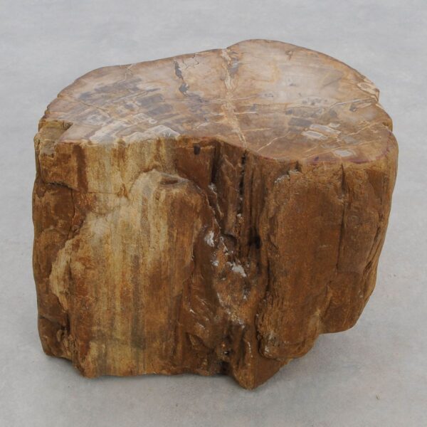 Beistelltisch versteinertes Holz 48190