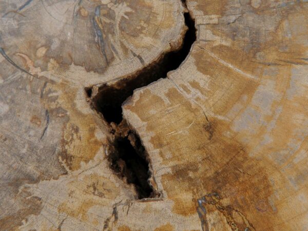 Beistelltisch versteinertes Holz 48194