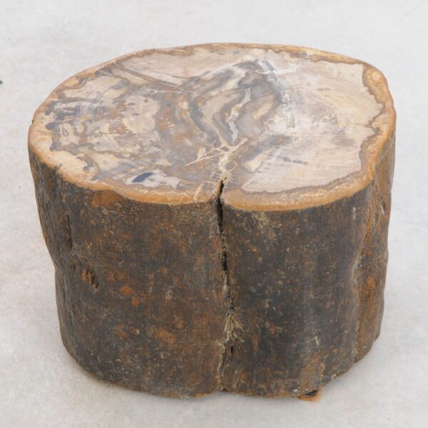 Beistelltisch versteinertes Holz 48196