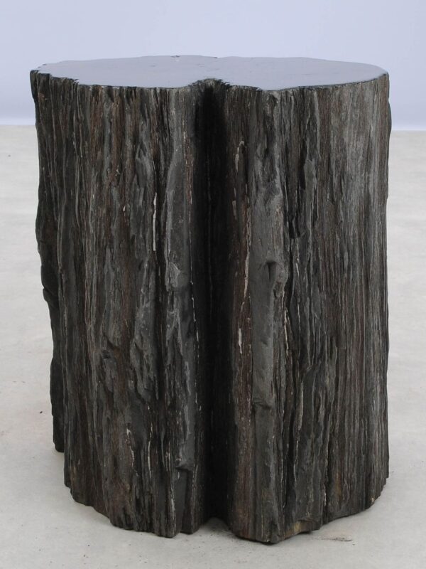 Beistelltisch versteinertes Holz 48312