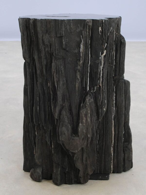 Beistelltisch versteinertes Holz 48313