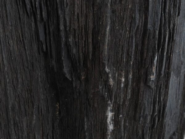 Beistelltisch versteinertes Holz 48314