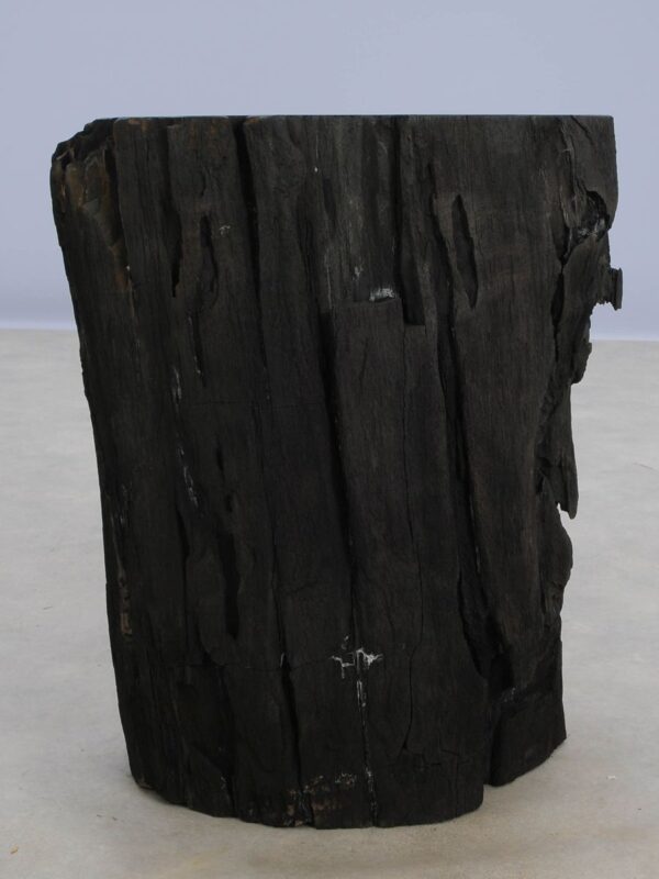 Beistelltisch versteinertes Holz 48353