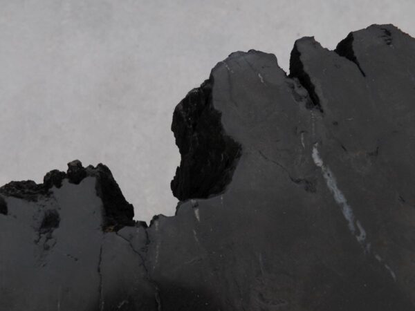 Beistelltisch versteinertes Holz 48354